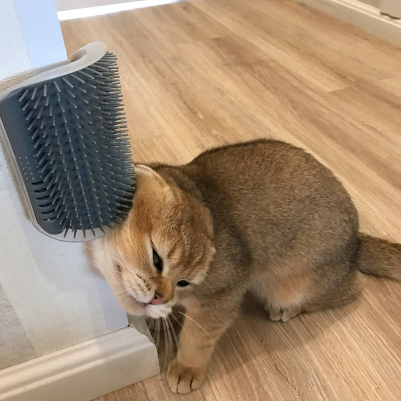 Cat Wall Corner Brush