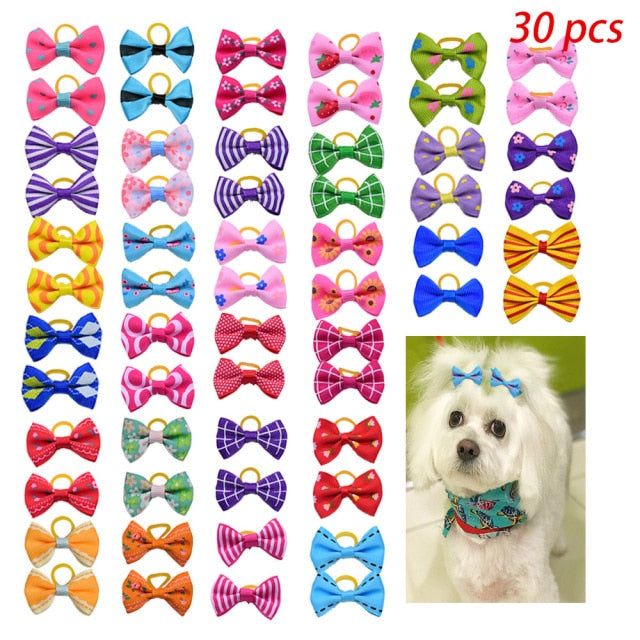 Dog Hair  Bows