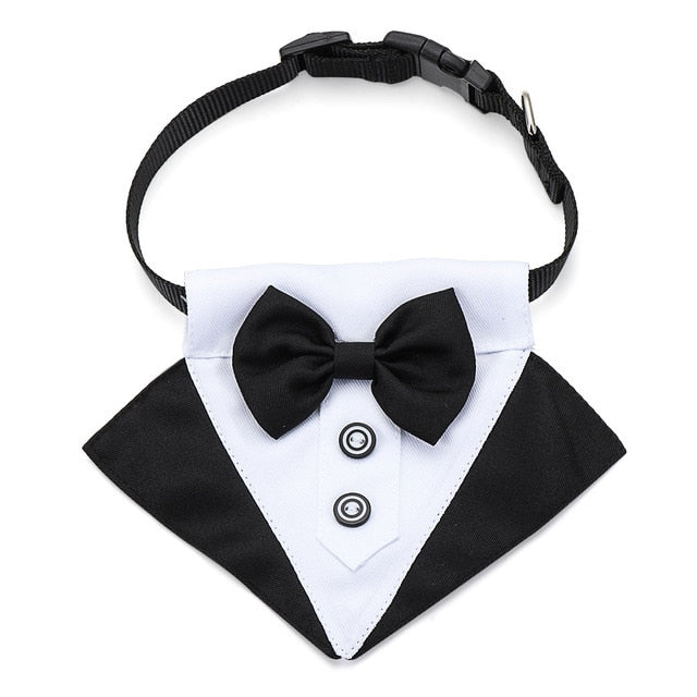 Pet Necktie, Bow Tie and Tuxedo