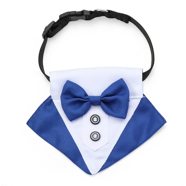 Pet Necktie, Bow Tie and Tuxedo