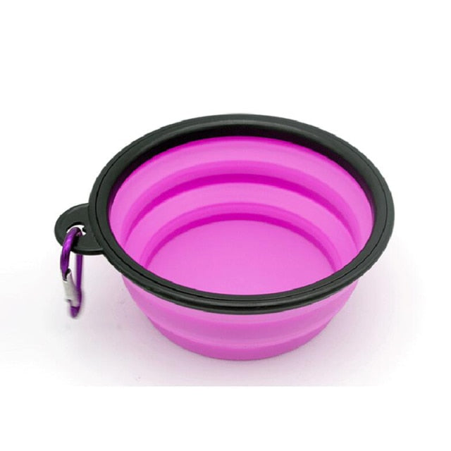 Silicone Dog Feeder Bowl with Cabiner Clip